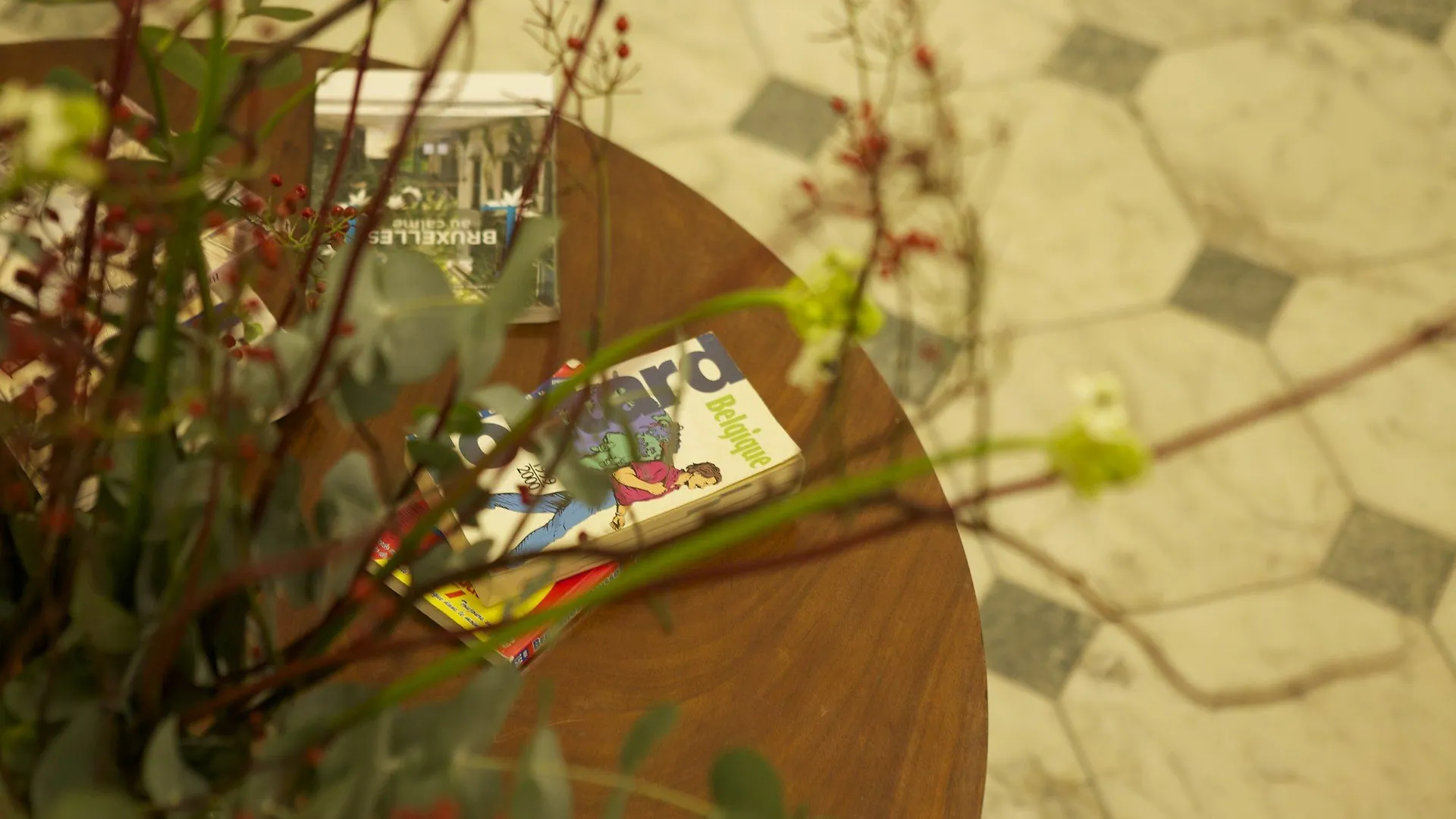 Bed & Breakfast B&B Living In Brusel, Urban B&B Etterbeek